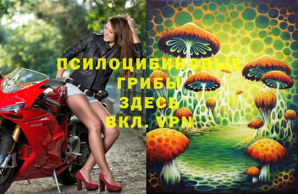 кокс Абдулино
