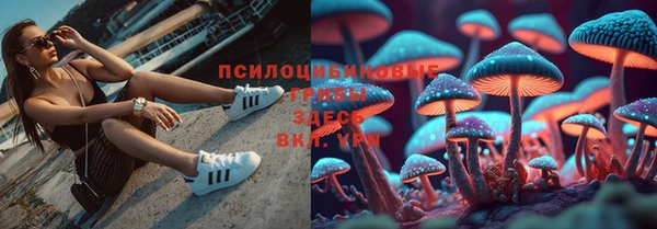 метадон Алексин