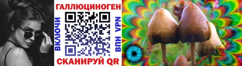 Псилоцибиновые грибы GOLDEN TEACHER Шумерля